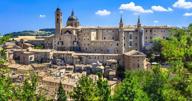 Urbino